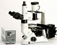 Accu-Scope 3032 Phase Plan Fluorite Fluorescence Microscope (3032PH-EPI-FL)